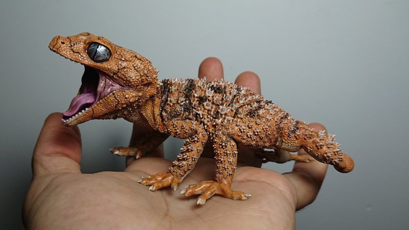 SO-TA 擬真生物第三彈「1/1 鬼玉尾守宮 ＆ 犰狳蜥」轉蛋 精緻再現棘皮細節與防禦姿態！