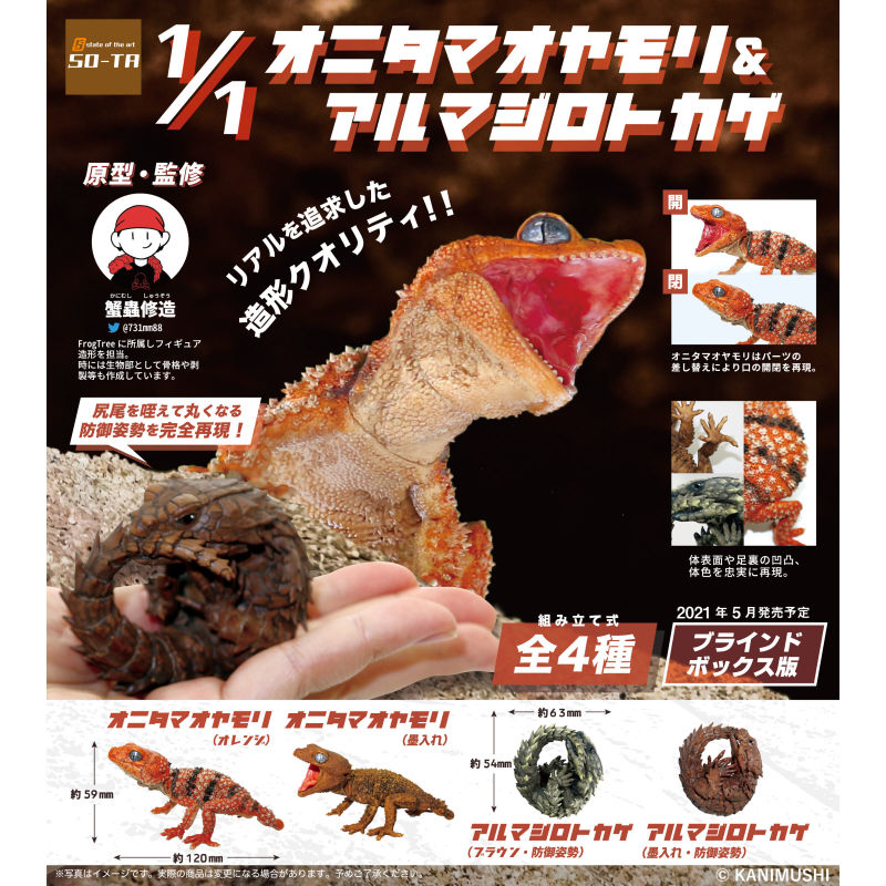 SO-TA 擬真生物第三彈「1/1 鬼玉尾守宮 ＆ 犰狳蜥」轉蛋 精緻再現棘皮細節與防禦姿態！