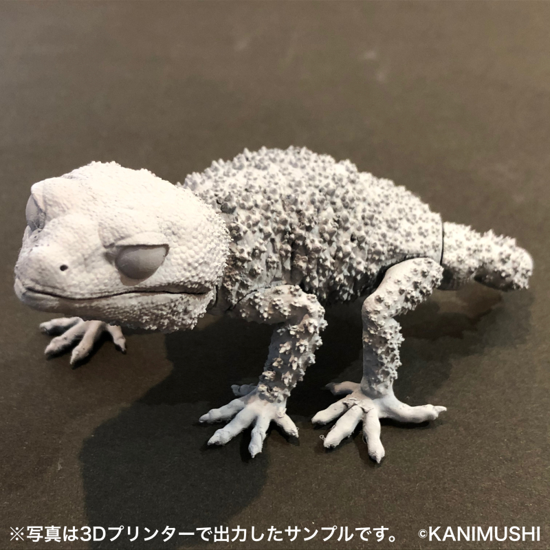 SO-TA 擬真生物第三彈「1/1 鬼玉尾守宮 ＆ 犰狳蜥」轉蛋 精緻再現棘皮細節與防禦姿態！