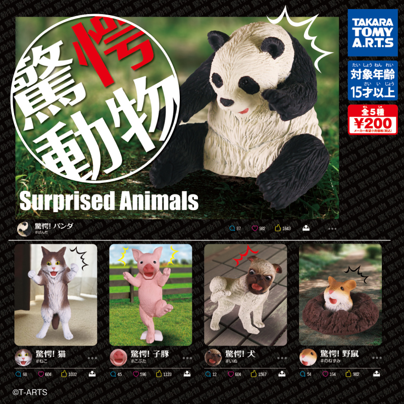 T-ARTS【驚嚇動物】轉蛋（驚愕動物）小豬都被嚇到單腳站立啦！