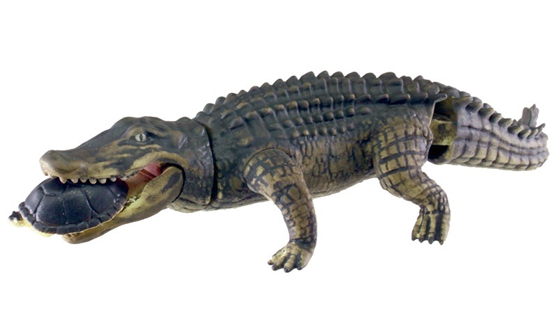 T-ARTS《危險生物大百科》第三彈「恐怖的牙」轉蛋 再現短吻鱷與烏龜的矛盾大對決！