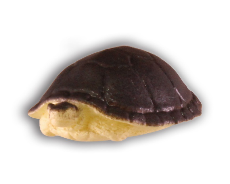 T-ARTS《危險生物大百科》第三彈「恐怖的牙」轉蛋 再現短吻鱷與烏龜的矛盾大對決！