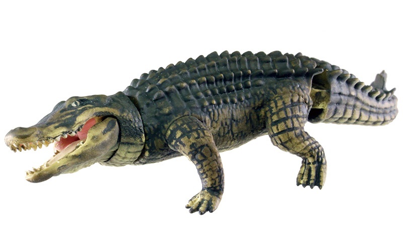 T-ARTS《危險生物大百科》第三彈「恐怖的牙」轉蛋 再現短吻鱷與烏龜的矛盾大對決！