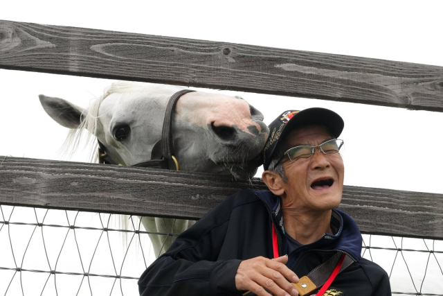 現實與遊戲兩制霸！賽馬「黃金船」馬伕今浪隆利入坑《賽馬娘》並再度制霸當年賽事！