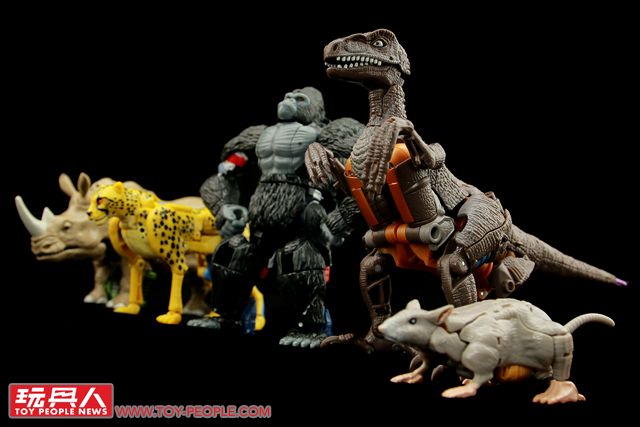 永無止息的困獸之鬥！孩之寶變形金剛經典世代系列塞博坦之戰「王國」第二波 開箱報告