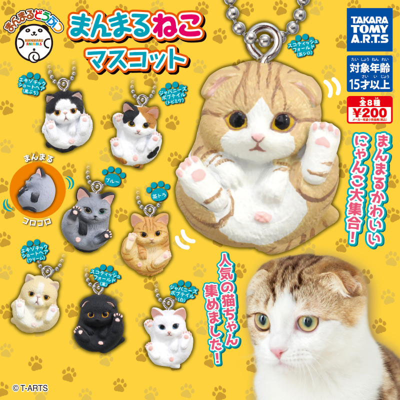 T-ARTS 圓滾滾動物系列「圓滾滾貓咪」（まんまるねこマスコット）吊飾轉蛋