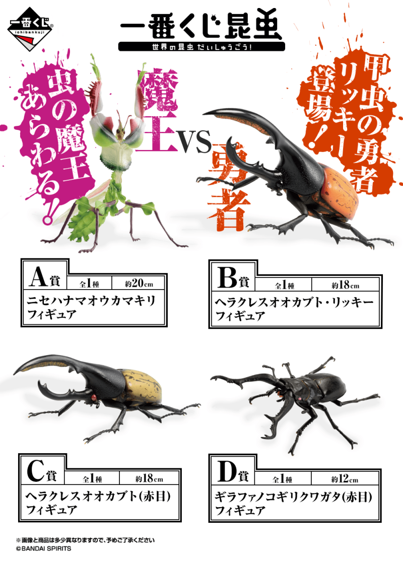 螳螂魔王vs甲蟲勇者！一番賞昆蟲「世界的昆蟲大集合!!」20公分霸氣開戰