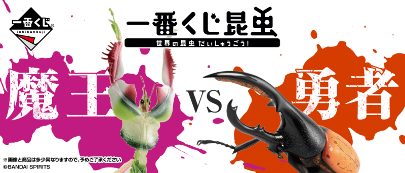 螳螂魔王vs甲蟲勇者！一番賞昆蟲「世界的昆蟲大集合!!」20公分霸氣開戰
