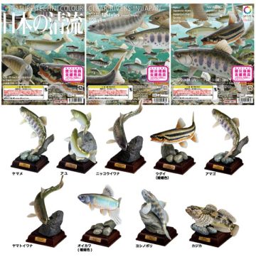KITAN8月新品：日本清溪魚類模型