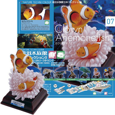 鳥羽水族館立體圖鑑3 | 玩具人Toy People News