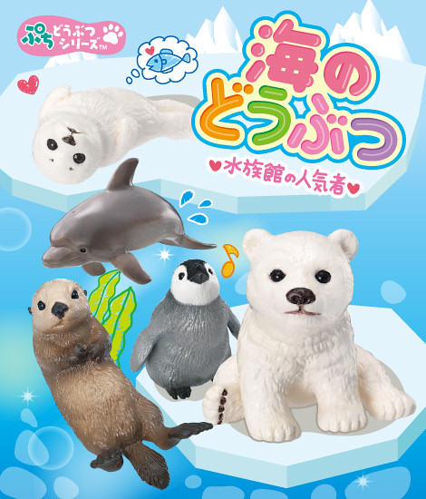 水族館的人氣巨星！