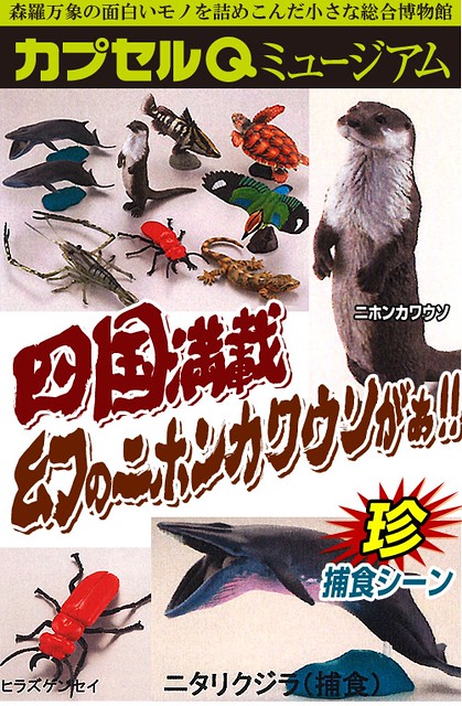 膠囊Q博物館「日本動物」第4彈 四國篇推薦