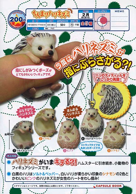 珍奇動物「刺蝟」療癒轉蛋推薦！