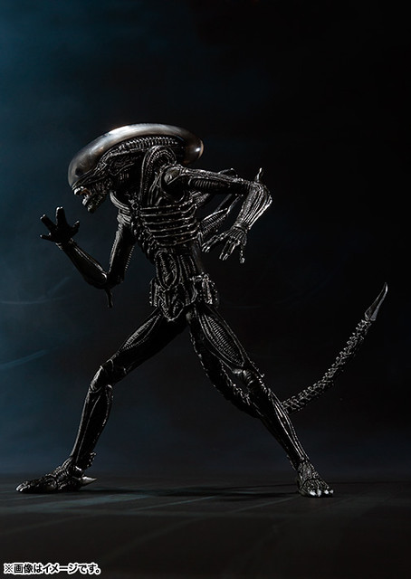 S.H. MonsterArts 異形 Big Chap