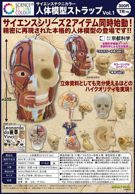 奇譚俱樂部 人體解剖模型吊飾 轉蛋