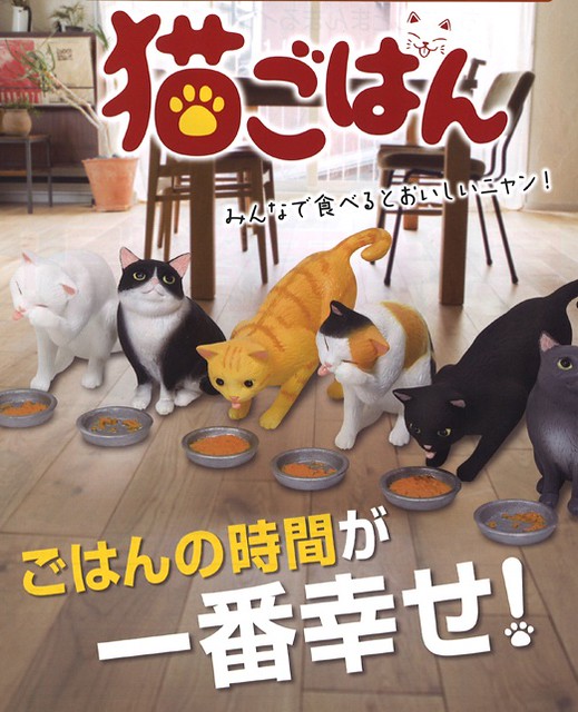 超療癒幸福時刻！貓咪用餐姿態立體化