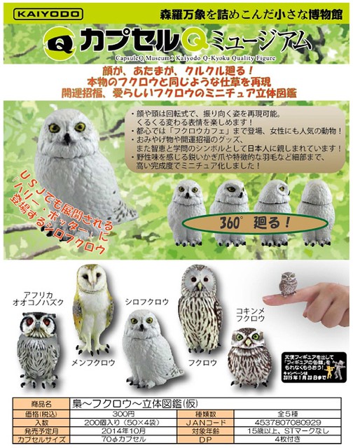 海洋堂膠囊Q博物館「貓頭鷹立體圖鑑」