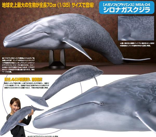 海洋堂 1/35 巨大軟膠系列 藍鯨 