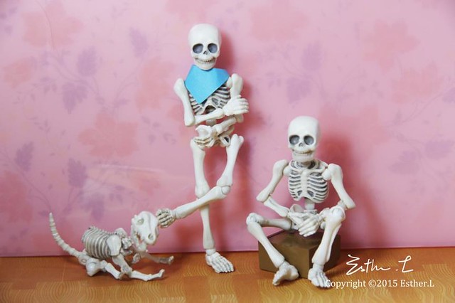 【玩具人Esther.L投稿】骷髏與狗的生活