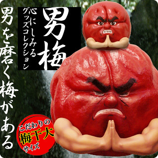 Takara Tomy 男梅藏的修行故事 修行 修行 修行 玩具人toy People News