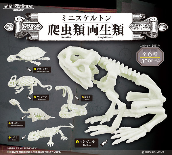 RE-MENT【迷你骷髏兩棲爬蟲類】Mini Skeleton 系列