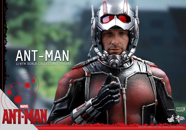 【官圖更新】Hot Toys – MMS308 –【蟻人】史考特．朗恩 1/6 比例 Ant-Man