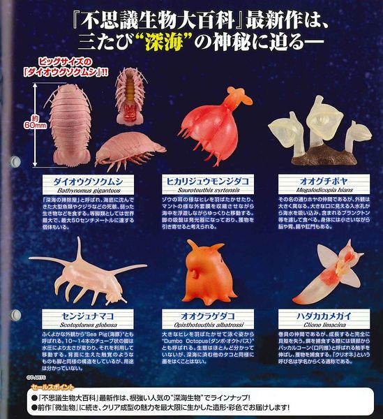 TAKARA TOMY 不思議生物大百科系列【莫名其妙の深海生物】先生！！你是