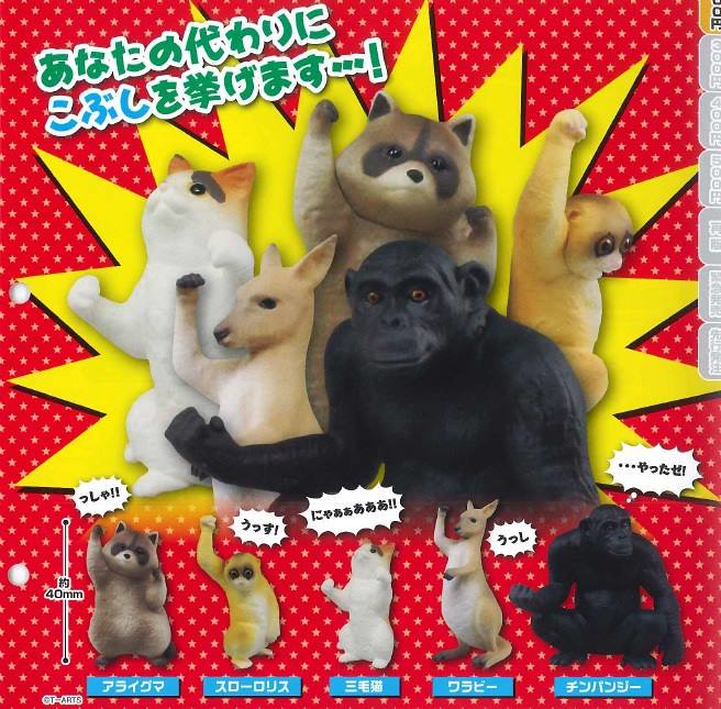 【官圖、販售資訊更新】TAKARA TOMY【勝利姿勢】的可愛動物們！！GO~GO~GO