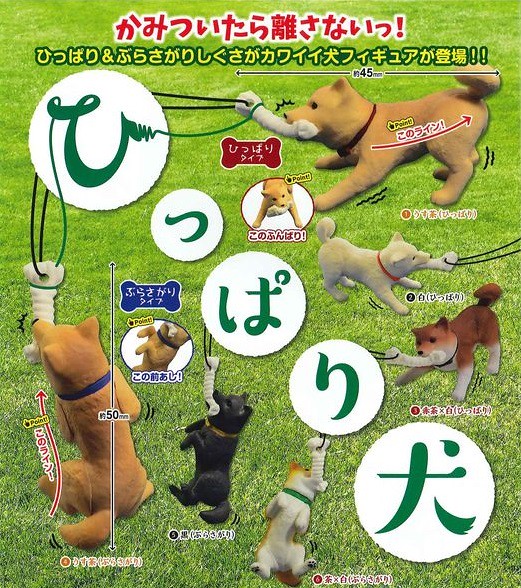 EPOCH【拉扯の柴犬】咬死不放！！耐力十足的汪星人！！