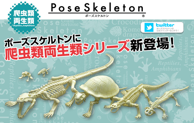 RE-MENT【骷髏系列。兩棲爬蟲類】Pose Skeleton 系列