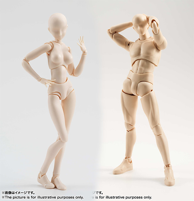 壓倒性的可動領域～全力支援插畫家繪圖！S.H. Figuarts 膚色素體 男女版