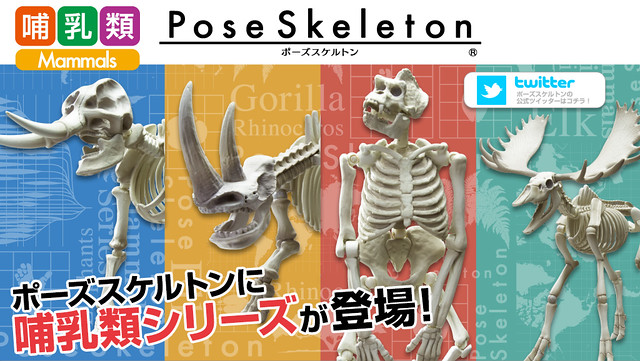 RE-MENT【骷髏系列。哺乳類】Pose Skeleton 系列