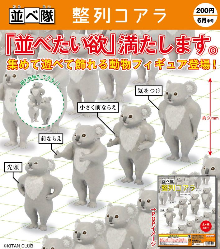 【完整官圖、販售資訊更新】收集越多越好玩～「整隊！排隊的無尾熊」轉蛋