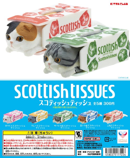 【官圖更新】唰!!!～～～～ 面紙盒中的摺耳貓 スコティッシュティッシュ