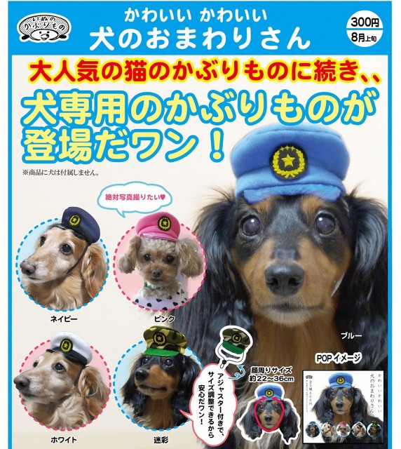 奇譚俱樂部 「狗兒警察帽」 擔任警務的工作就交給牠了啊！