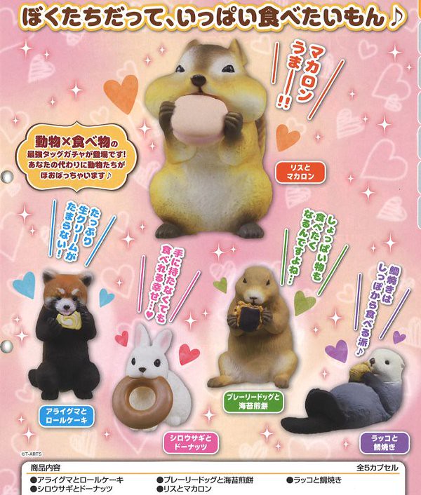 T-ARTS 「貪吃的動物們」療癒轉蛋又來了啊！いっぱい食べる動物（きみ）が好き