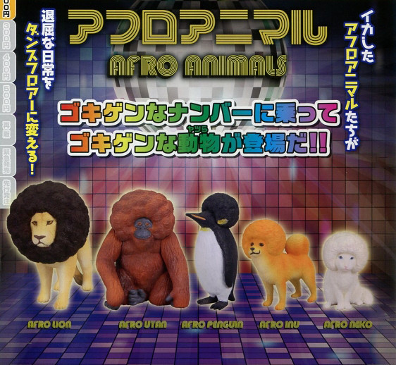 【官圖更新】T-ARTS 開趴替的「爆炸頭動物們」逗趣現身！Afro Animals