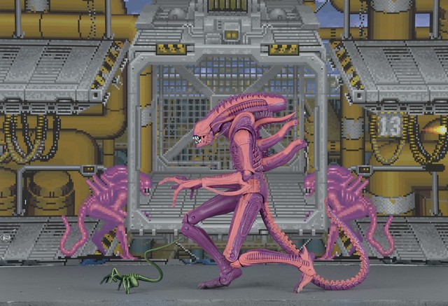 粉粉der？！NECA【異形戰士電玩塗裝版】Xenomorph Warrior Arcade Appearance 7 吋人偶作品