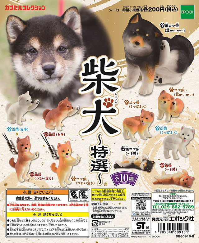 EPOCH【柴犬 特選】萬中選一！！超萌柴犬跟您回家去！！