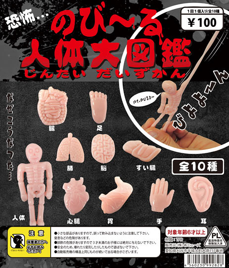恐怖喔！～ 超軟Q拉長伸縮的「伸長～人體大圖鑑」來嘍～ のび～る人体大図鑑