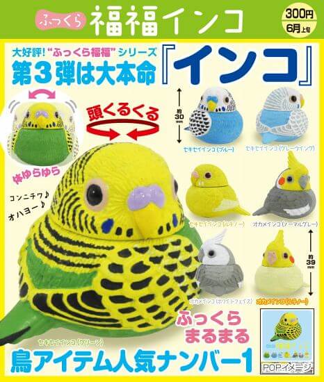 奇譚俱樂部 「豐滿福氣鸚鵡」第三彈 逗趣登場！ふっくら福福インコ