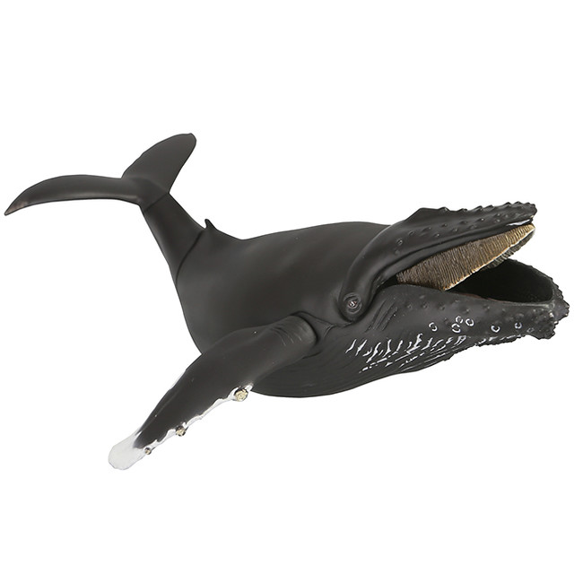 一起賞鯨去吧！ 海洋堂 SOFUBI TOY BOX 013 鯨魚（座頭鯨）クジラ　ザトウクジラ