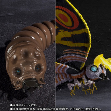 S.H.MonsterArts《哥吉拉vs摩斯拉》摩斯拉 モスラ （成蟲）＆摩斯拉（幼蟲） Special Color Ver.