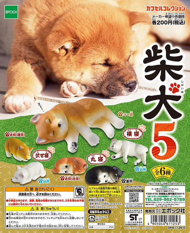 【官圖、販售資訊更新】EPOCH【柴犬5】你累了嗎？！可愛柴犬萌萌睡姿融化你的心！！