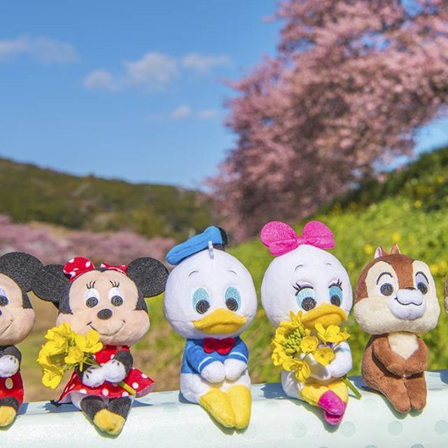 T-ARTS 布偶新系列 ディズニーキャラクター「ちょっこりさん（chokkorisan）」 第一彈推出 18 種迪士尼人氣角色！