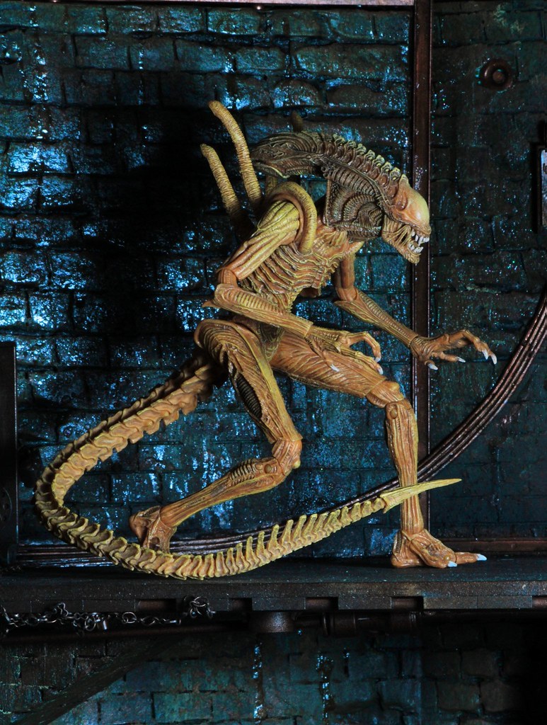 2017 SDCC 限定！！NECA【下水道變種戰士異形】Sewer Mutation Warrior Alien
