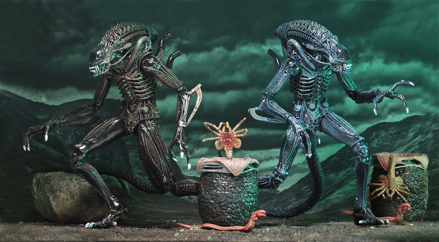 抱臉體、破胸體、成體異形戰士通通有！！NECA 異形2【異形戰士組合包】Ultimate Alien Warrior Assortment