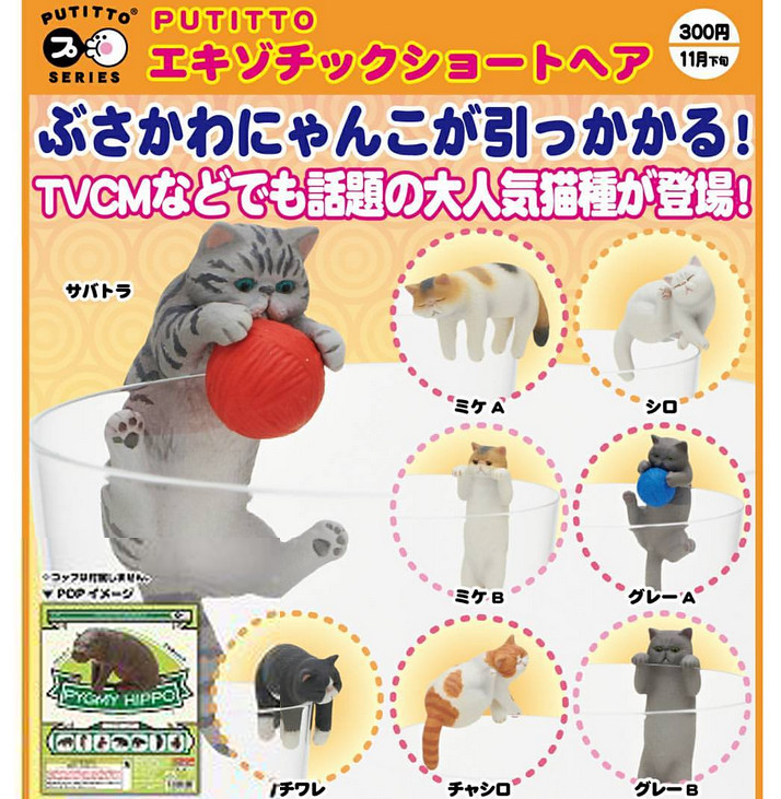 奇譚俱樂部 PUTITTO 新款「杯緣貓」超人氣新登場！ エキゾチックショートヘア