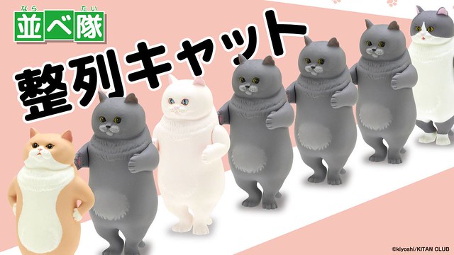 「新增官圖！」趕快來排隊喔～「立正！向前看齊！」奇譚俱樂部【整隊！排隊的貓咪】並べ隊 整列キャット 肥嘟嘟的貓咪買越多越療癒～