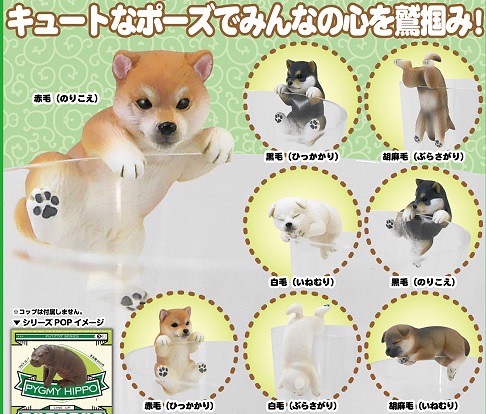 人類最忠實的杯緣玩具？！奇譚俱樂部 PUTITTO【柴犬】しばいぬ 實在萌翻天啦♥